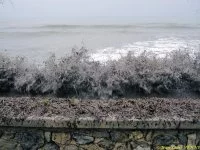 Des posidonies mortes envahissent la Seyne-sur-Mer