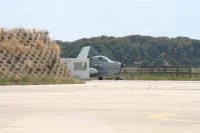 Un Alizé avec ses ailes repliées
