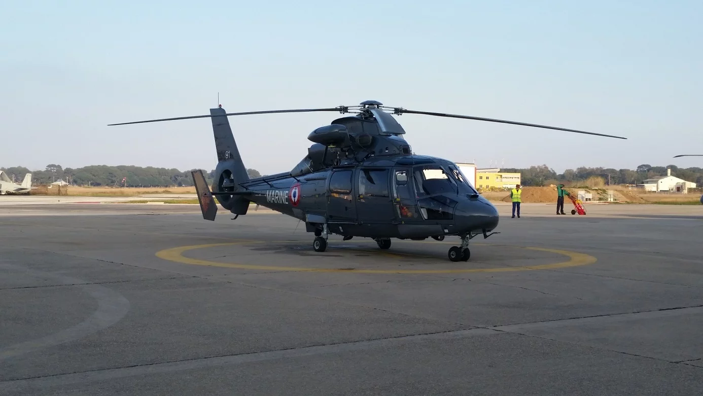 Le Dauphin N 6091