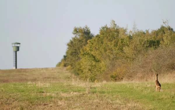 Le CTM Rosnay au cœur de la nature