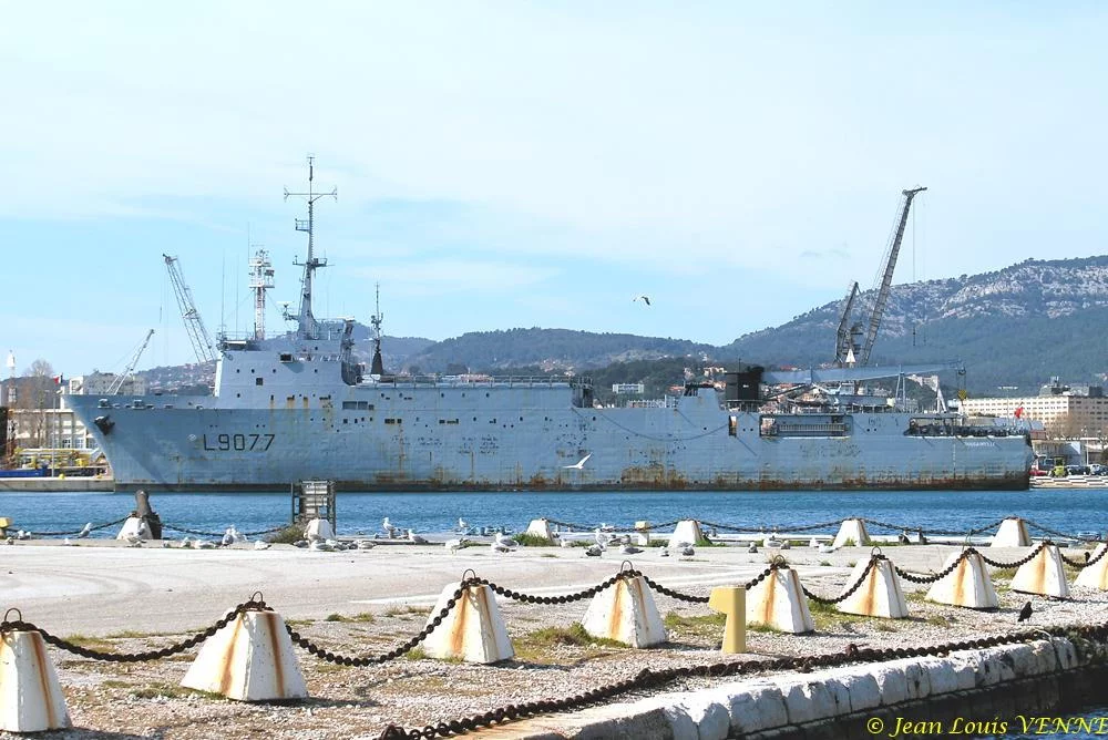Le Bougainville