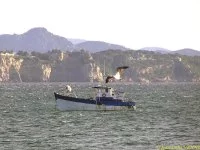 Le bateau de pêche dans les passes, avec personne à bord