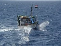 Le dhow Mahara à la remorque du Guépratte