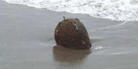 Une mine d'origine inconnue découverte sur les côtes de la mer Noire
