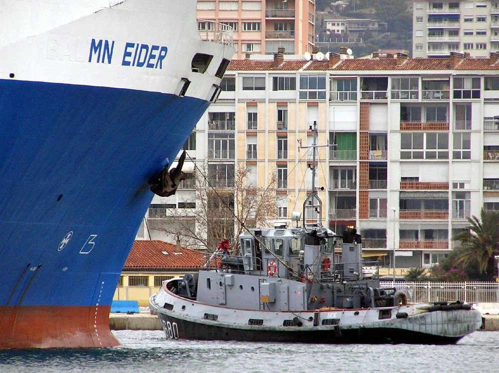 Le Eider