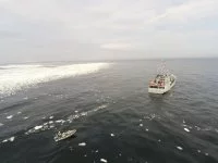 Le patrouilleur Fulmar à proximité des glaces